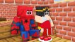 Monster School - Baby Zombie Spiderman and Mad Scientist - Sad Story - Minecraft Animation
