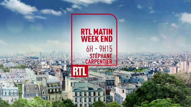 Mac Lesggy vous explique pourquoi les chauves-souris sont en grand danger