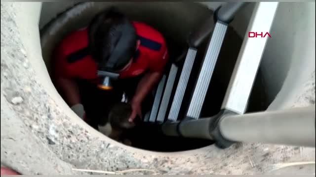 NUSAYBİN'DE KANALİZASYON ÇUKURUNA DÜŞEN YAVRU KÖPEĞİ İTFAİYE KURTARDI