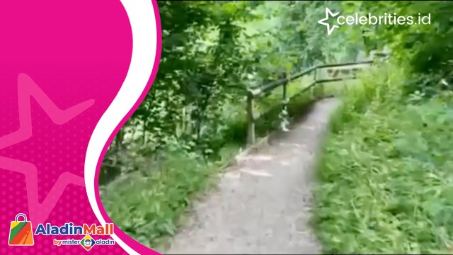 Sungai Aare Tempat Eril Hanyut Tak Jauh dari Kota Bern, Begini Kondisi Akses Jalannya