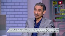 الكاتب الصحفي علي السيد: أهم ما في القطار الكهربائي هو الربط بين البحر الأحمر والبحر المتوسط