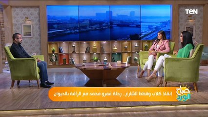 كلب مريض.كان نقطة الإنطلاق في مبادرة من أرقى المبادرات للرفق بالحيوان