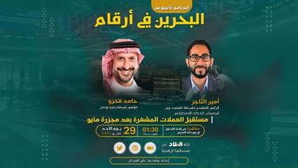 برنامج البحرين في أرقام