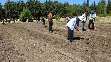 Kapıdaki gıda krizi için çözüm üretimden geçiyor