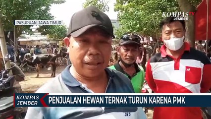 Скачать видео: Penjualan Hewan Ternak di Pasuruan Menurun Drastis Karena Wabah PMK