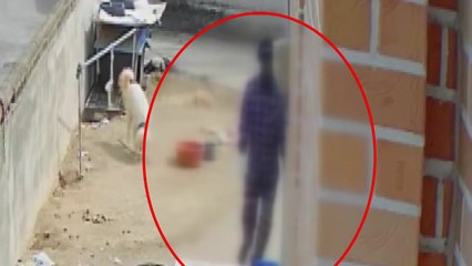 "이장님 계세요?"...농촌 빈집 86곳 턴 40대 구속 / YTN