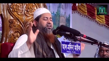 পৃথিবীর স্মাট পুরুষ দাড়িওয়ালা ছিলেন । দাড়ি রাখার প্রয়োজনীয়তা । Allama Hasan Jamil