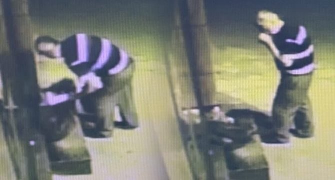 Tadına baktığı çileği beğenince kasasıyla birlikte çaldı!