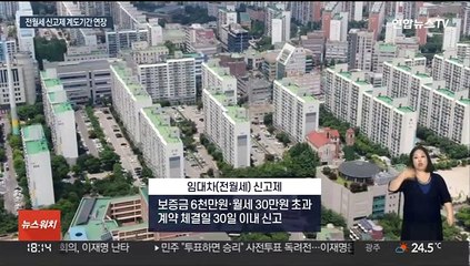 전월세 신고제 계도기간 연장…임대차 3법 손질 예고?