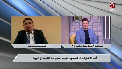تربية حيوان أليف في البيت مش بس تسلية لكن أحياناً علاج ..اعرف التفاصيل