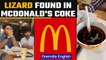 Dead lizard in McDonald's coke goes viral, Watch | Oneindia News