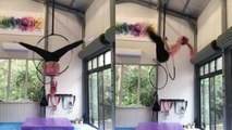 'Australian aerialist performs mesmerizing acrobatics on a lyra '