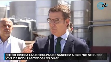 Download Video: Feijóo critica las disculpas de Sánchez a ERC No se puede vivir de rodillas todos los días