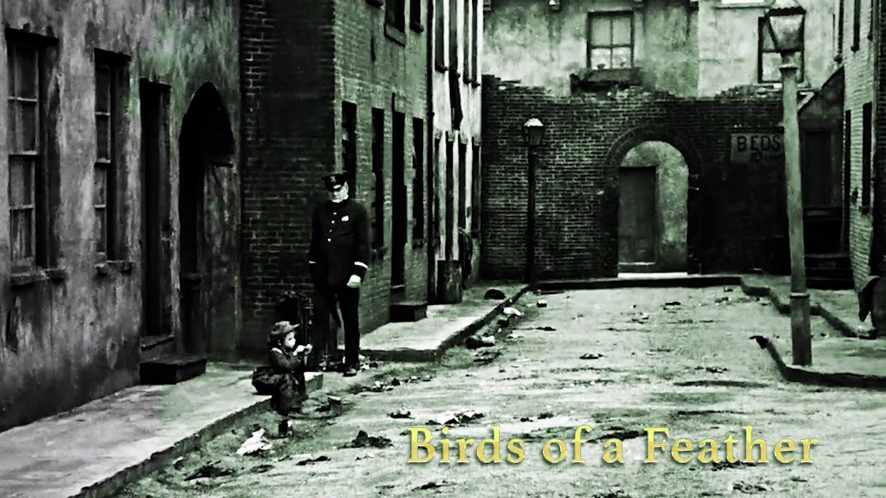 Tender Spring & Blurred Figures & Middle School - Birds of a Feather