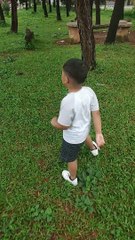 Jalan jalan pagi yang asri