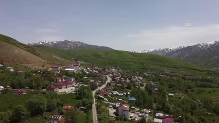 Yedisu'da ilkbahar güzelliği yaşanıyor