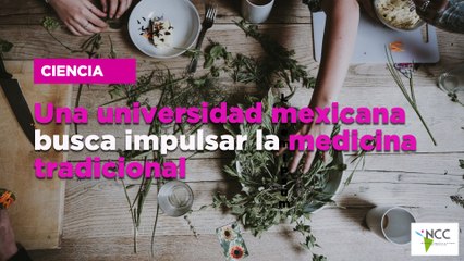 Una universidad mexicana busca impulsar la medicina tradicional
