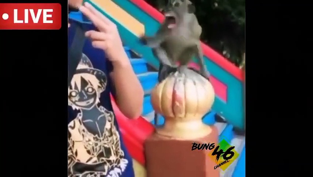 video lucu terbaru 2022 tingkah lucu warga 62 meme lucu warga bumi 6