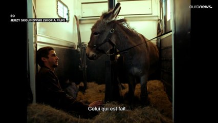 "Eo" beim Festival in Cannes - Filmemacher Skolimowskis Film über den Leidensweg eines Esels