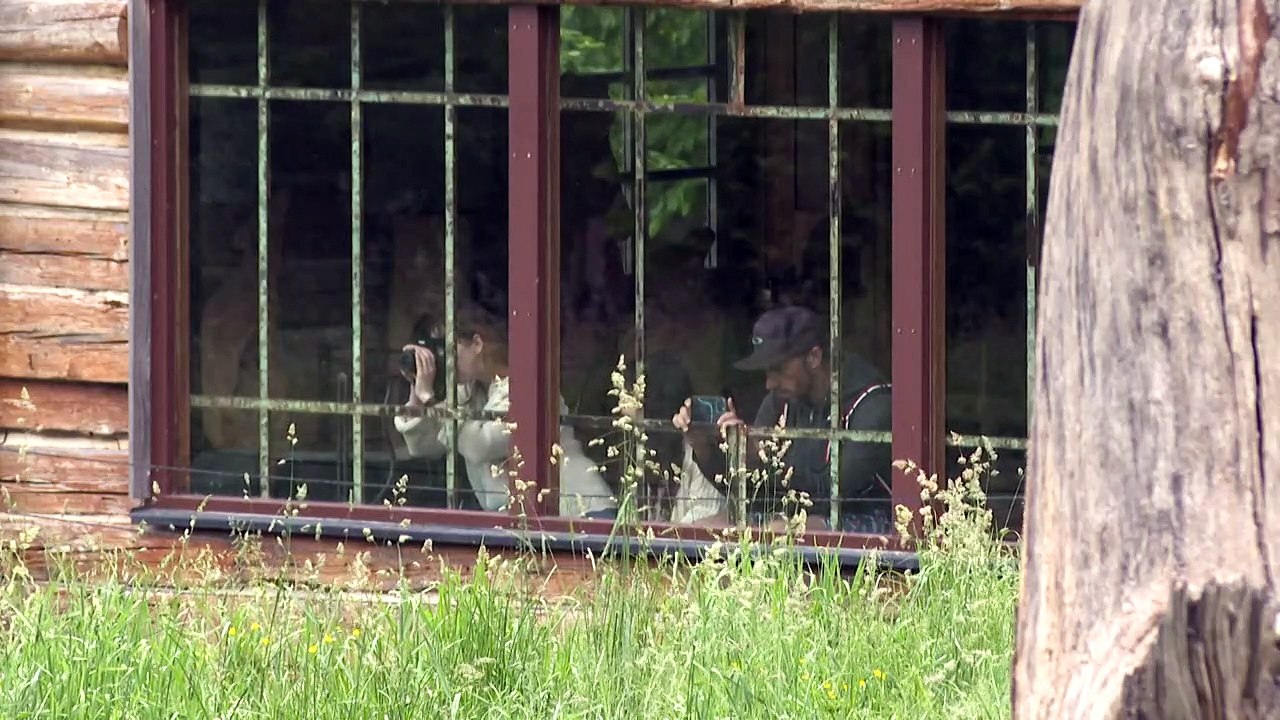 Deux oursonnes gambadent devant les visiteurs d'un parc en Moselle
