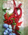Resep masakan bakso mercon - Kumpulan Resep Masakan  Update resep setiap hari