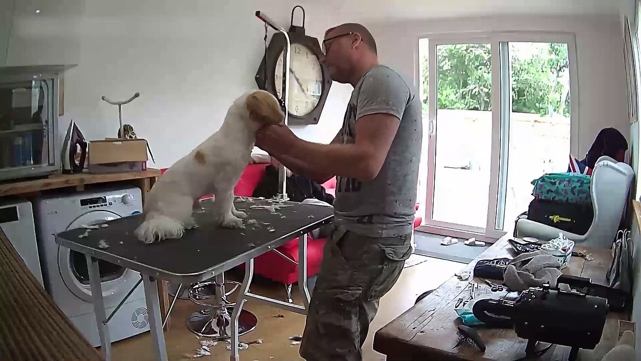 Girl Runs Straight Into Sliding Glass Door