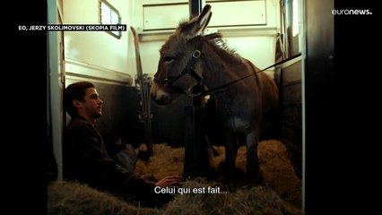 Jerzy Skolimovski sorprende en Cannes con 'EO', una road movie muy particular