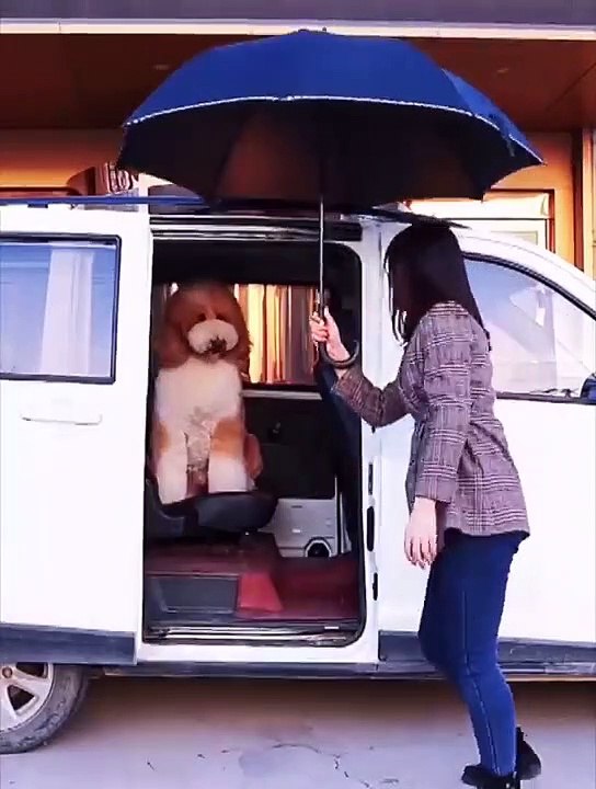 Unbelievable!!! Funny Dog Videos Try Not To Laugh Part -8