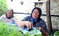 Kırklareli'nde ata tohumdan üretilen fideler dağıtıldı