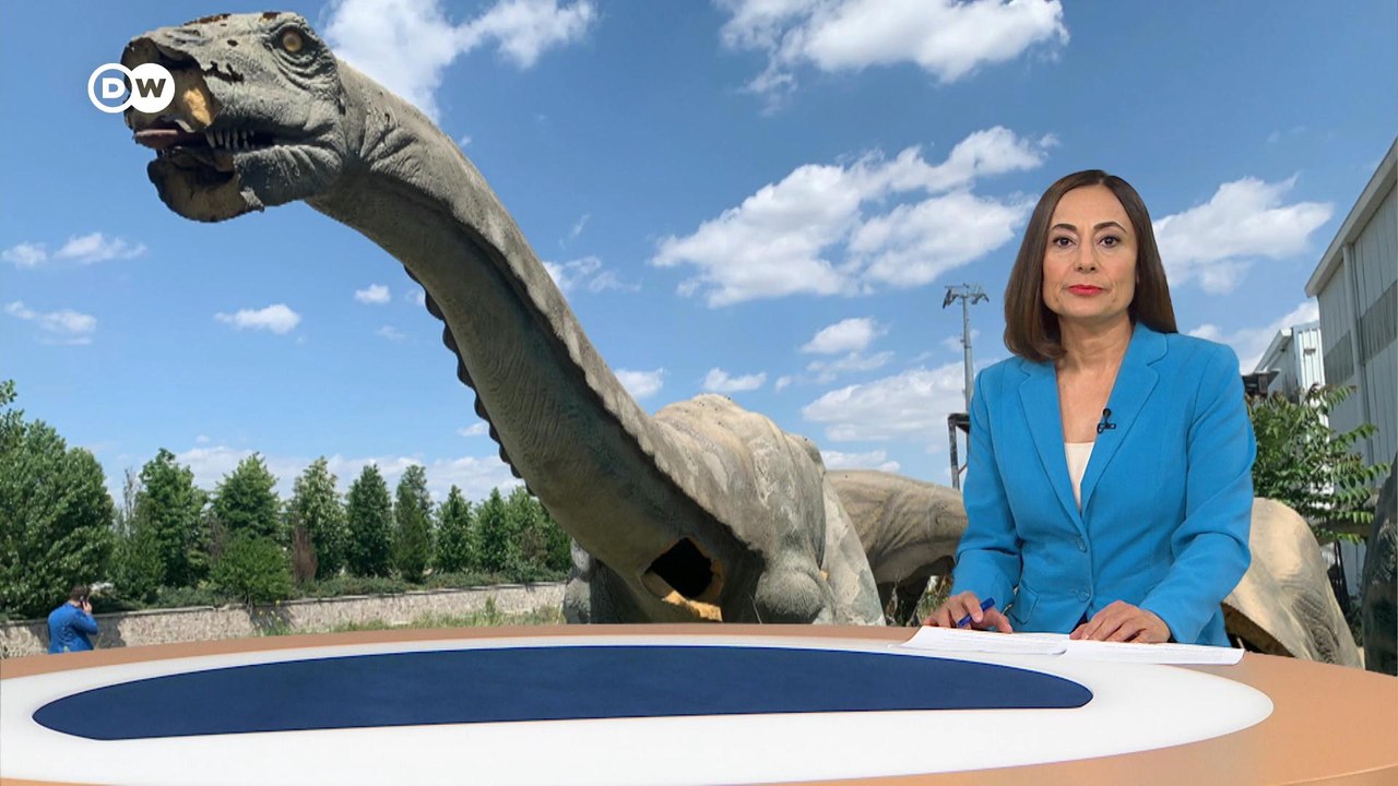 DW Haber - 26.05.2022
