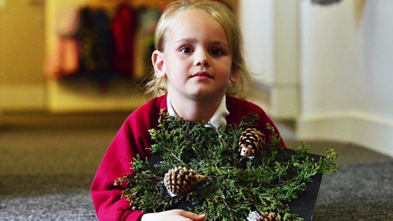 West View Primary pupils create over 150 hedgehogs for Hedgehog Awareness Week
