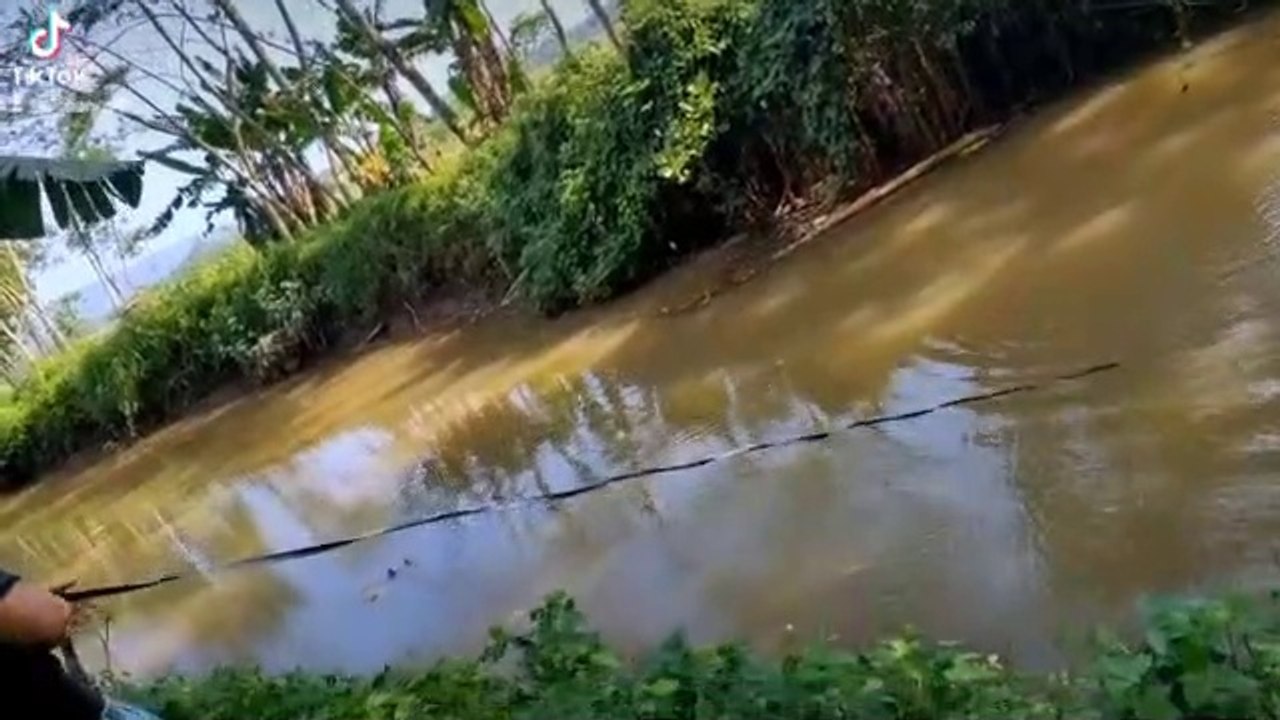 Mancing Harta Karun