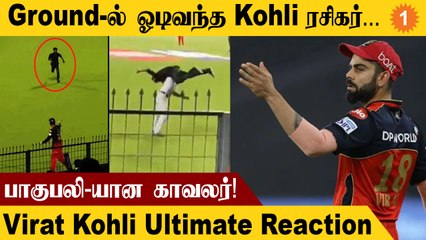 LSG vs RCB Virat Kohli ரசிகரை கெத்தாக தூக்கி சென்ற காவலர்!  | #Cricket