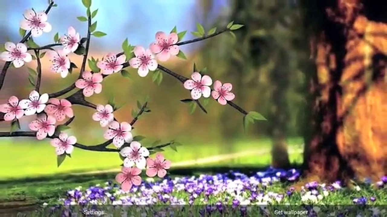 Puiu Nastase-toate florile din lume