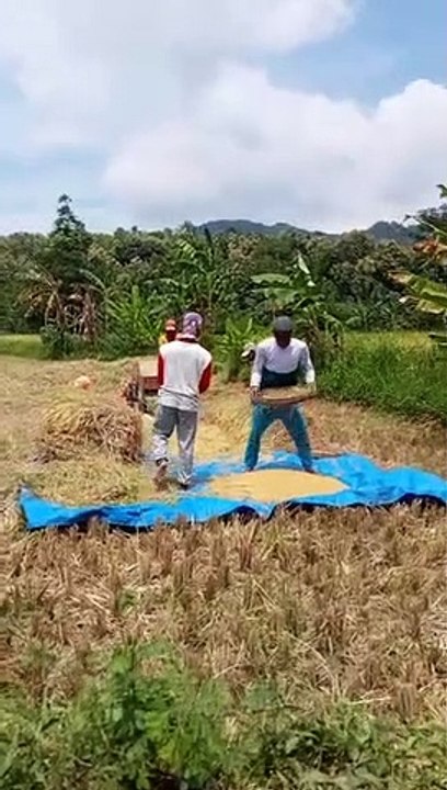 Expresi bahagia