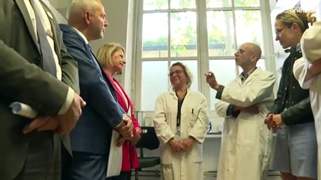 Vaiolo delle scimmie, aumentano i casi ma dal virus si guarisce