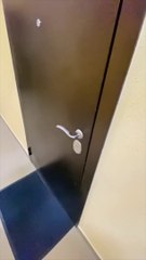 cute animal | Adorable cats and dogs 2022 #1