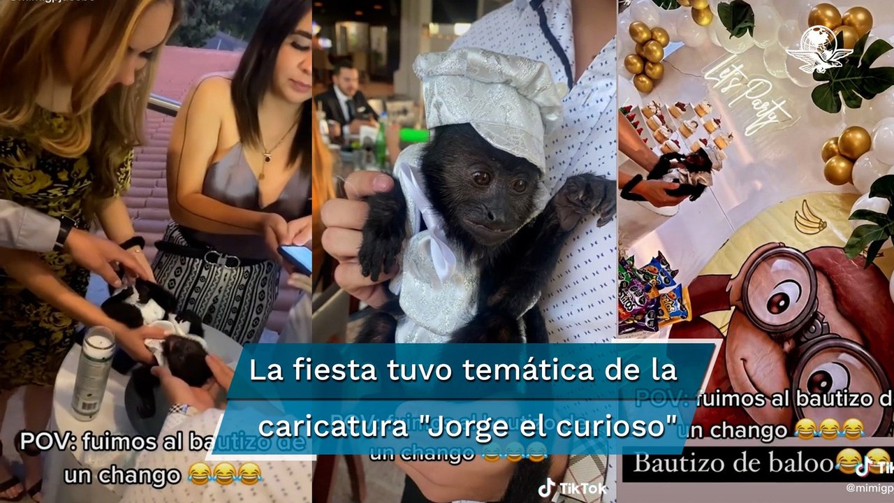 Con todo y trajecito "bautizan" a mono bebé; fiesta se hace viral en TikTok
