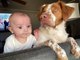 Dog and Baby Look Out Window Together