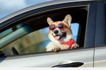 Gas-Saving Tips For Your Memorial Day Weekend Road Trip