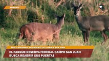 El parque reserva federal campo san juan busca reabrir sus puertas