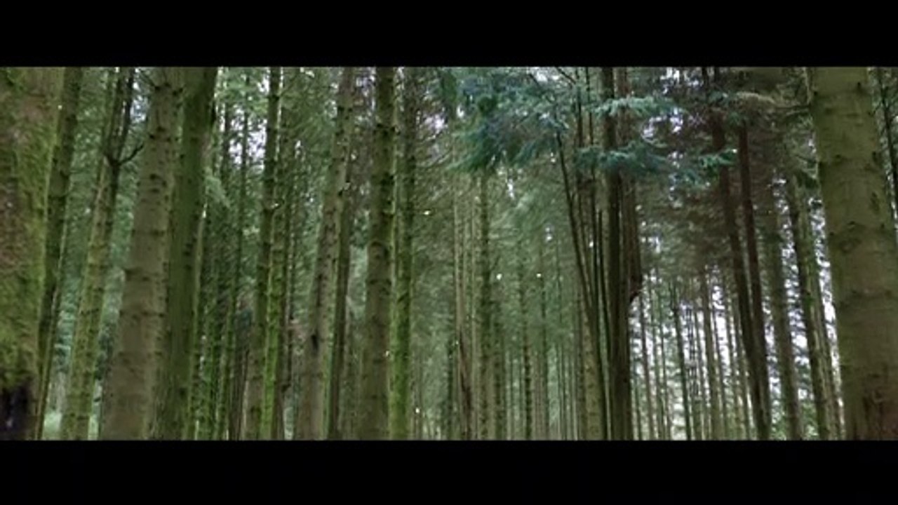 Willow Official Teaser Trailer Disney+