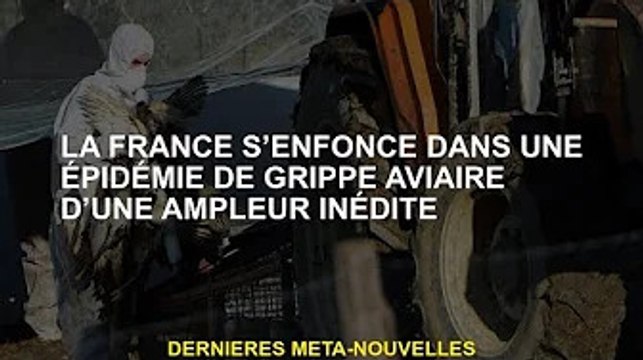 La France est en proie à une épidémie de grippe aviaire sans précédent