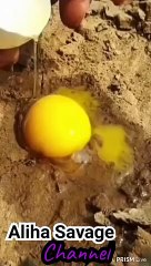 Cerdas Nangkap Ikan pake Telor Mentah#shorts