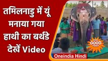 Tamil Nadu: हाथी अकिला का धूमधाम से मनाया गया 20वां जन्मदिन | वनइंडिया हिंदी