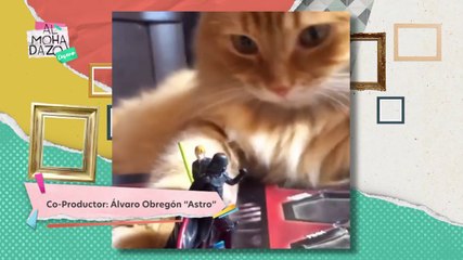 Gatito del lado oscuro - Almohadazo Casero