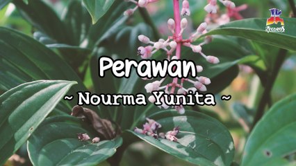 Nourma Yunita - Perawan (Official Lyric Video)