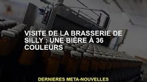 Visitez Silly Brewery: 36 bières de couleur