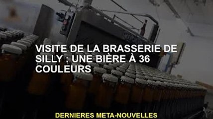 Visitez Silly Brewery: 36 bières de couleur