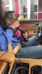 just cruising around!!